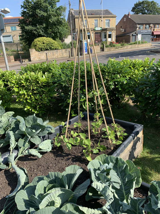 Moldgreen URC Garden